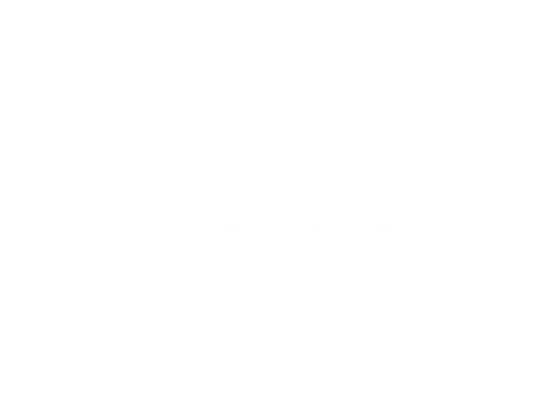 Sponsor - Streets of Toronto