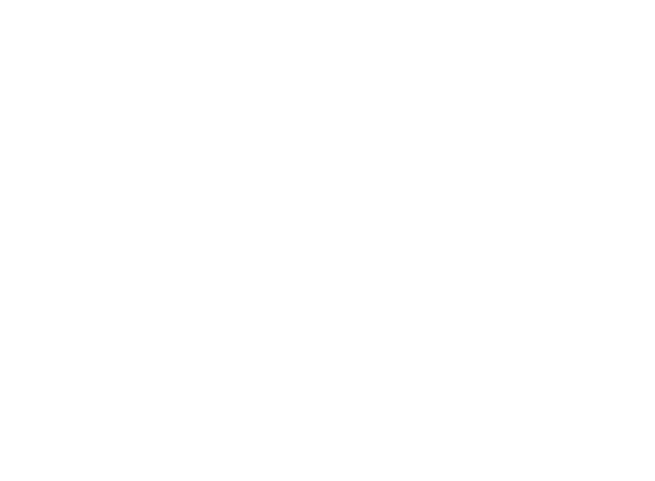 Sponsor - Simplicity Car Care - Thornhill