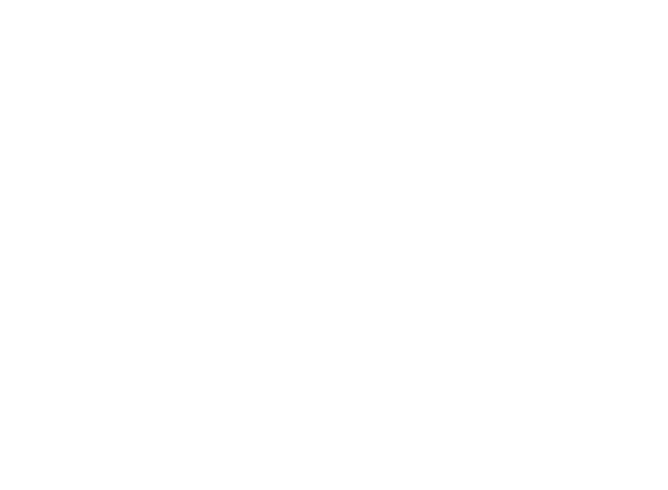 Sponsor - The Taiwan Merchants Association of Toronto